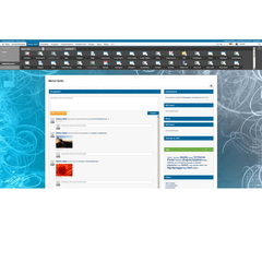 SITEFORUM Application-Pool